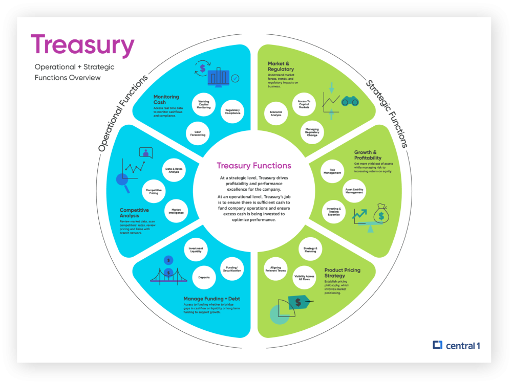 Treasury eco-system infographic